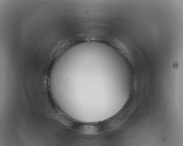 X0000091480169200708161155