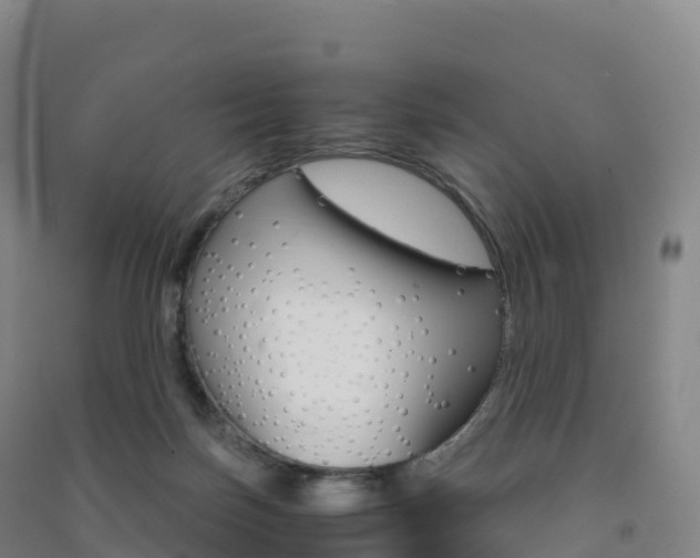 X0000091480171200708161155