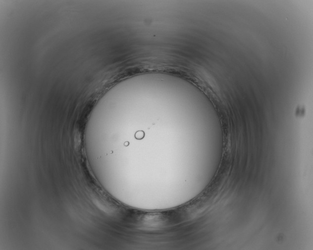 X0000091480173200708161155