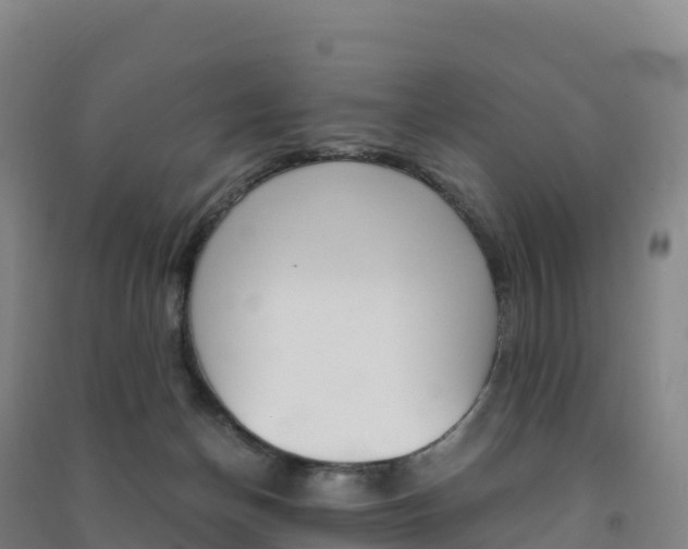 X0000091480174200708161155