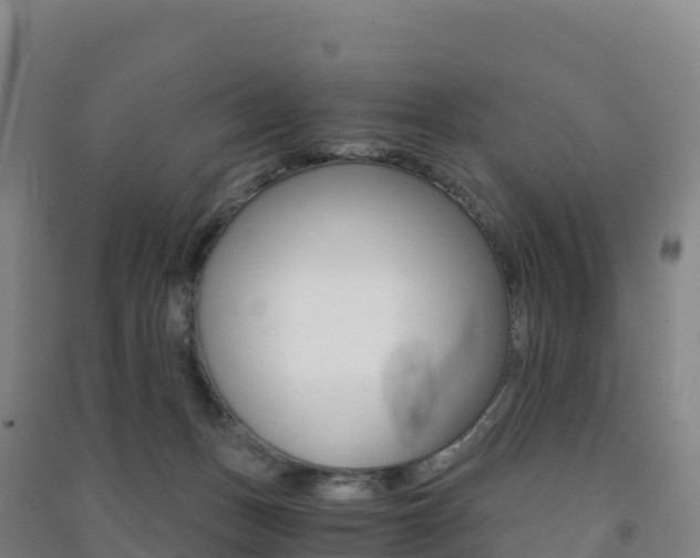 X0000091480175200708161155