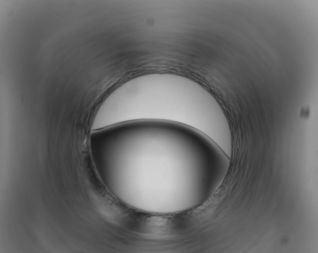 X0000091480176200708161155
