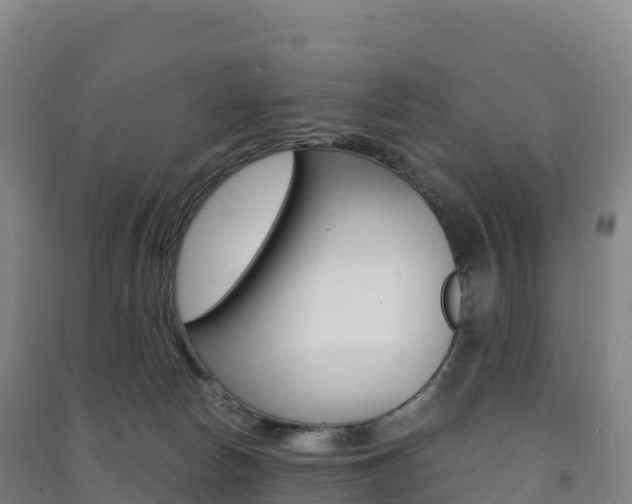 X0000091480178200708161156