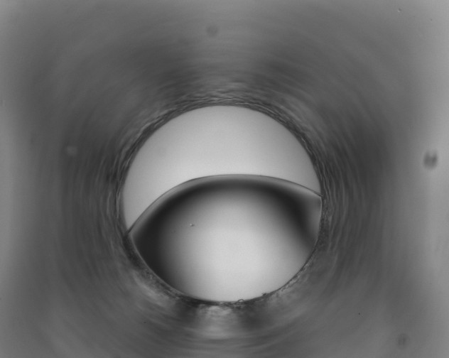 X0000091480180200708161156