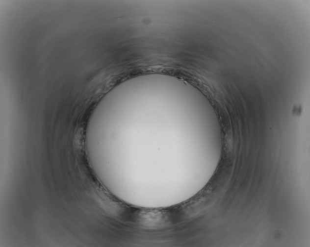 X0000091480181200708161156