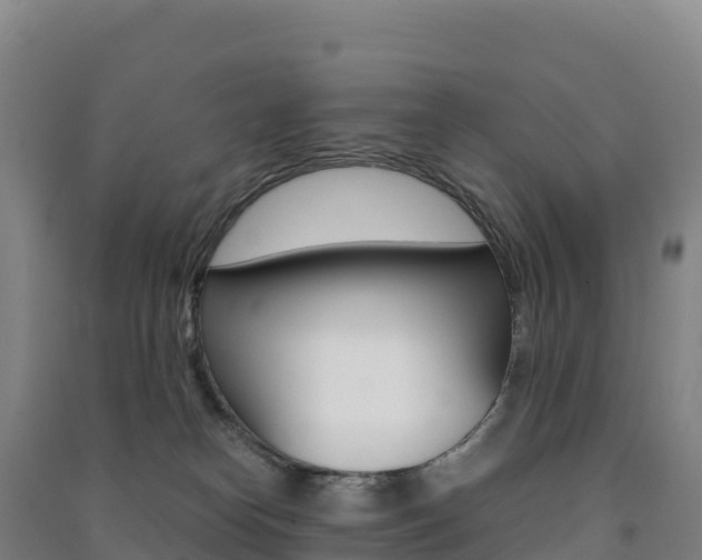 X0000091480182200708161156