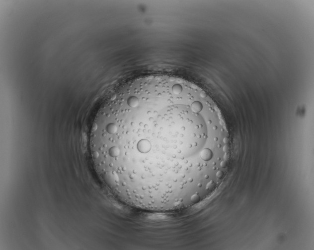 X0000091480183200708161156