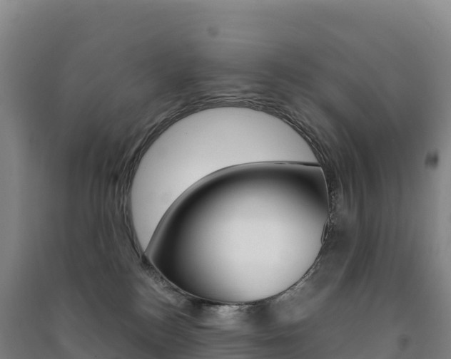 X0000091480184200708161156