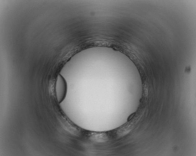 X0000091480185200708161156