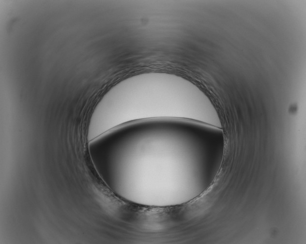X0000091480186200708161156