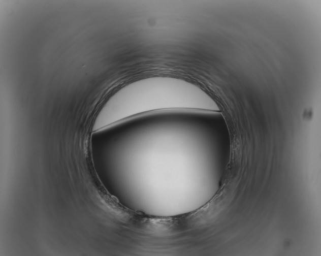 X0000091480188200708161156