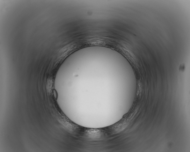 X0000091480189200708161156