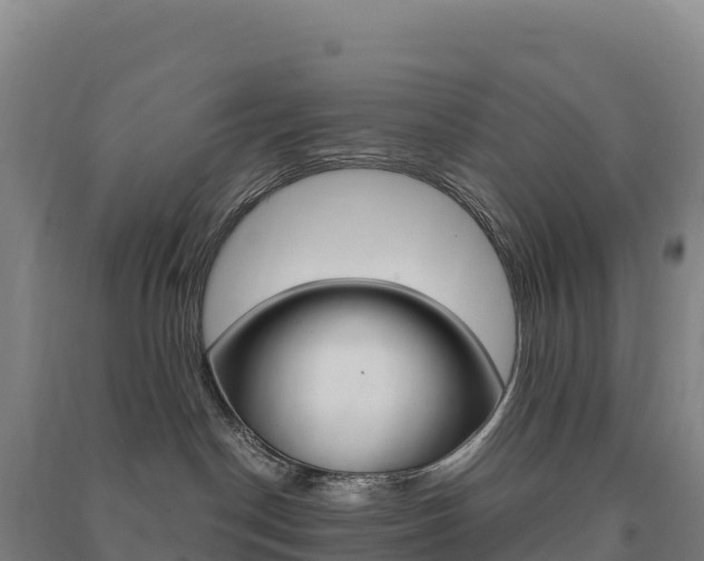 X0000091480190200708161156