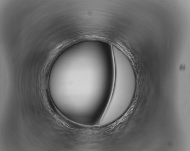 X0000091480193200708161155
