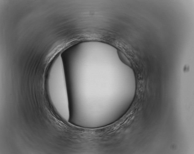 X0000091480194200708161155