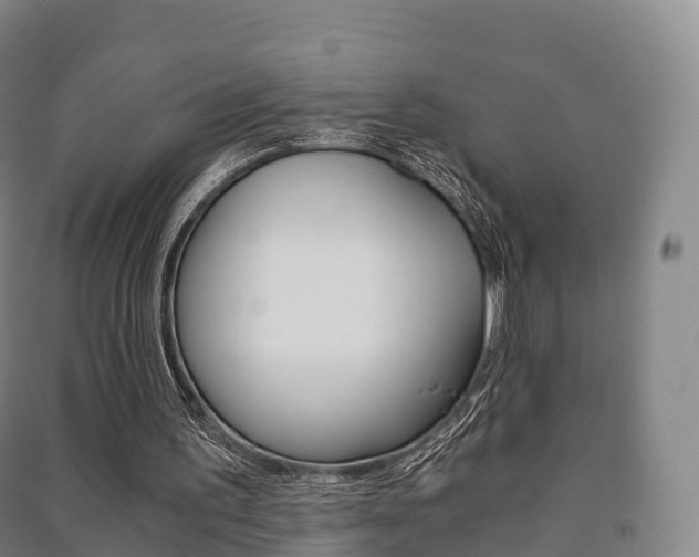 X0000091480195200708161155