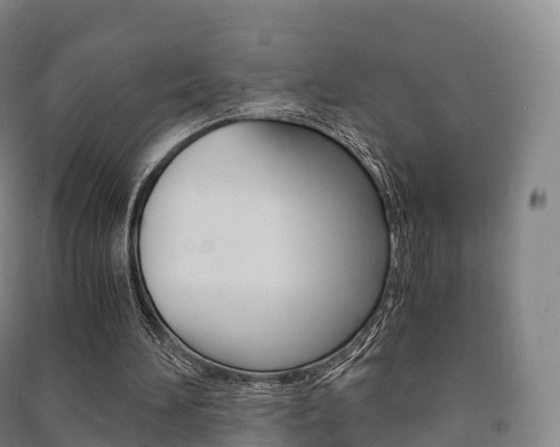 X0000091480196200708161155