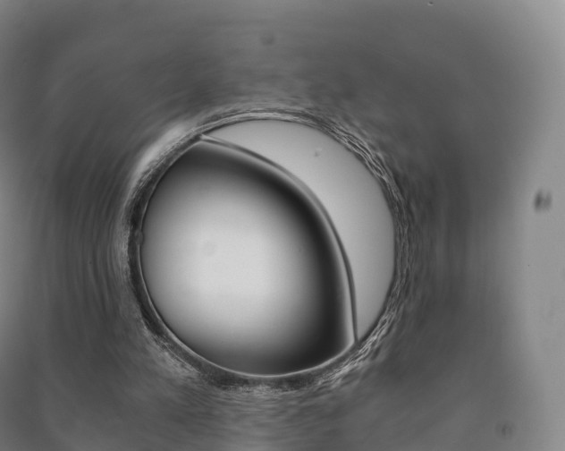 X0000091480197200708161155