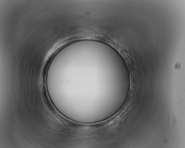 X0000091480198200708161155