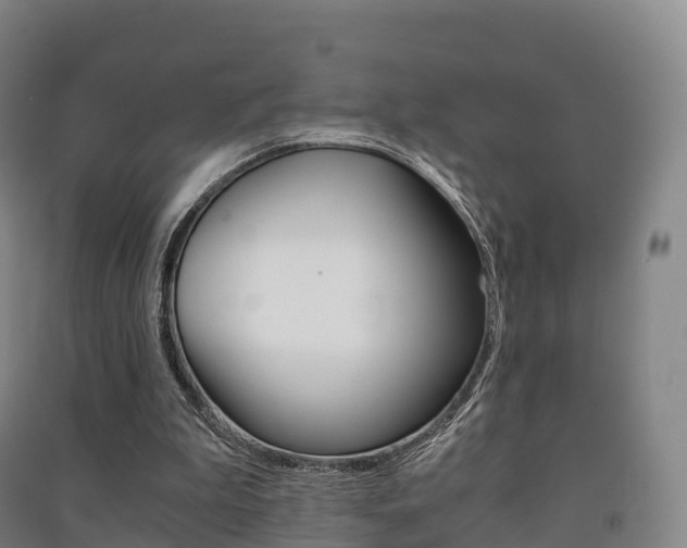 X0000091480199200708161155