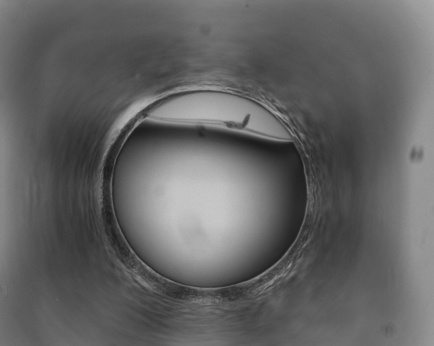 X0000091480200200708161155