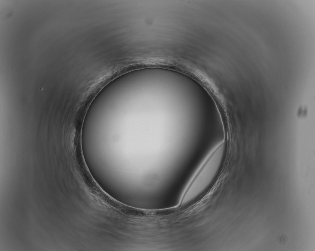 X0000091480201200708161155