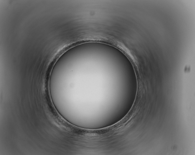 X0000091480203200708161155