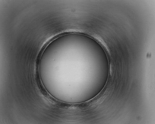 X0000091480204200708161155