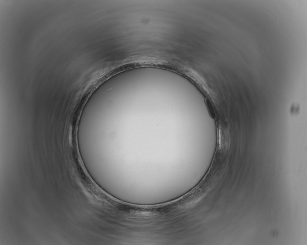 X0000091480205200708161155