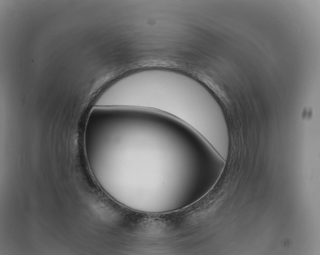 X0000091480207200708161155