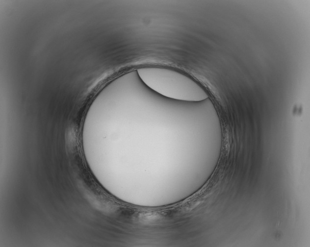 X0000091480208200708161155