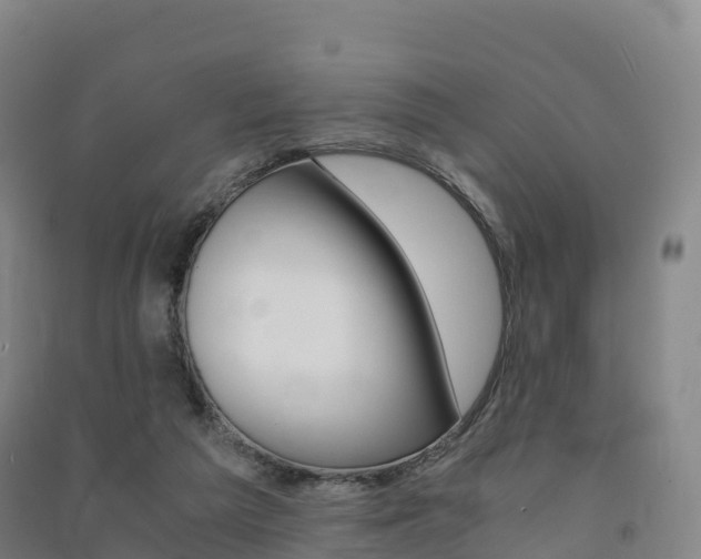 X0000091480209200708161155