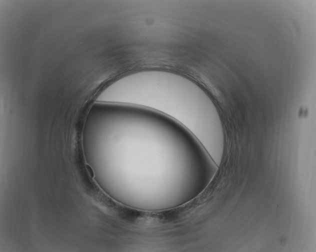 X0000091480211200708161155