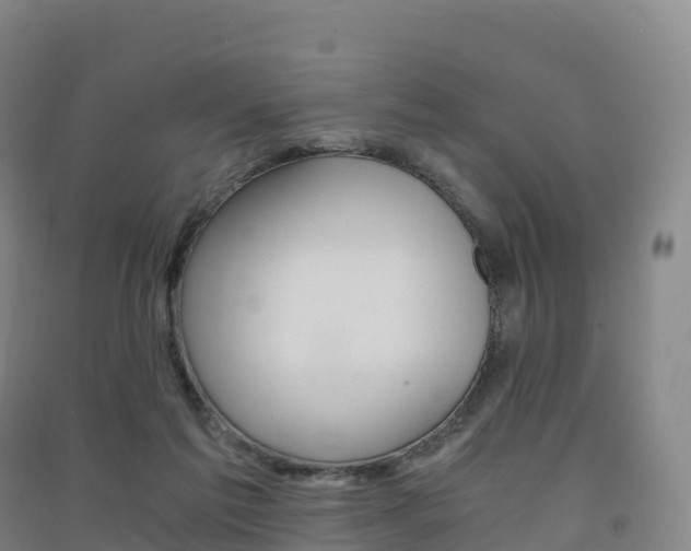 X0000091480213200708161155
