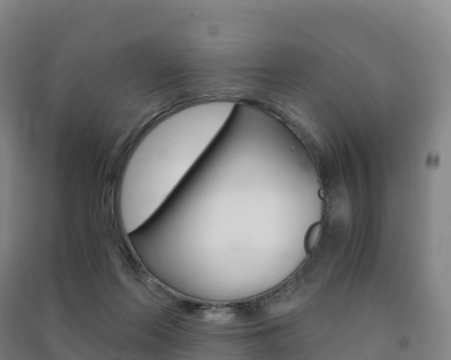 X0000091480214200708161155