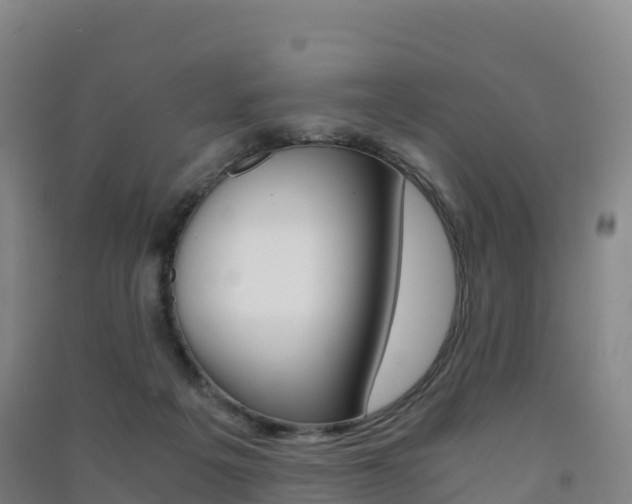X0000091480217200708161155