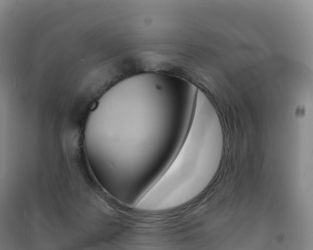X0000091480219200708161155