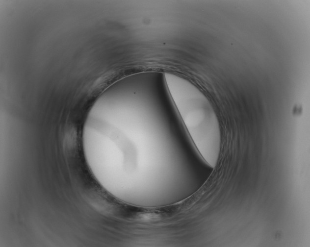 X0000091480220200708161155