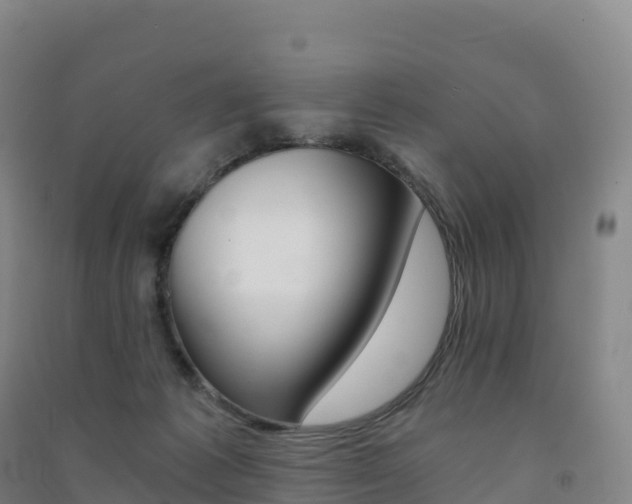 X0000091480221200708161155