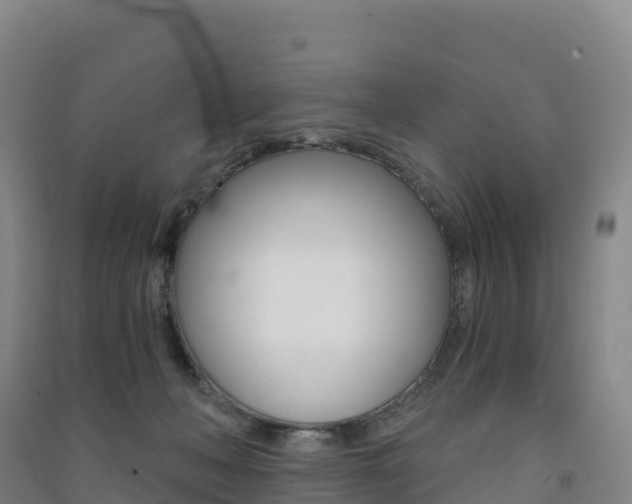 X0000091480222200708161155