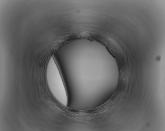 X0000091480223200708161155