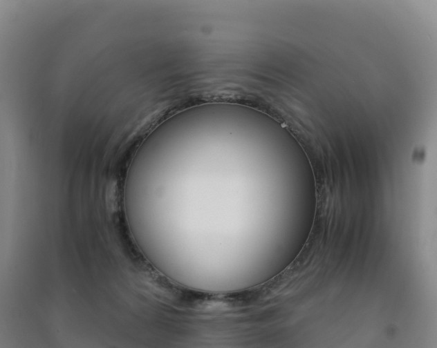 X0000091480224200708161155