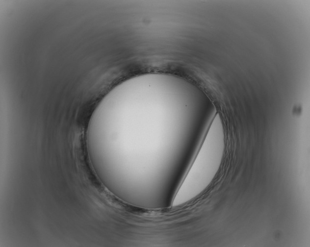 X0000091480225200708161155