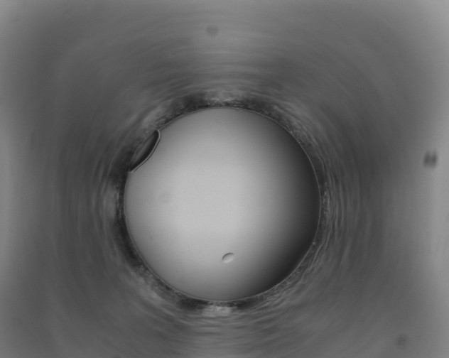 X0000091480227200708161155