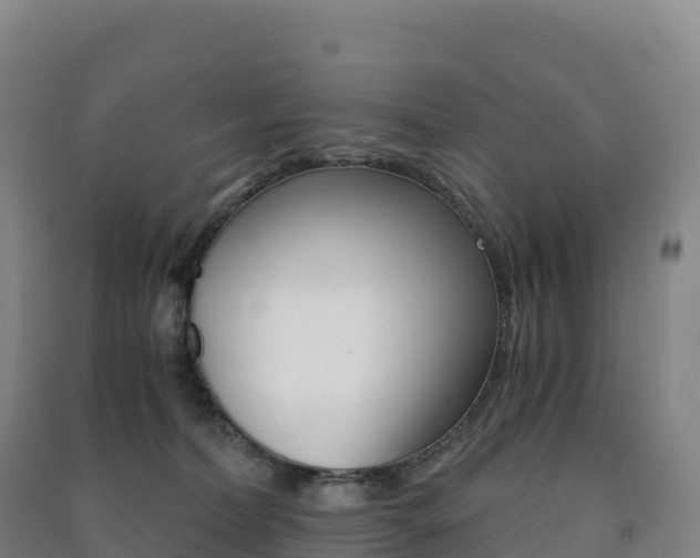 X0000091480228200708161155