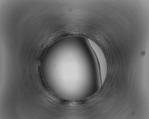 X0000091480229200708161155