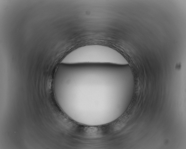 X0000091480230200708161155