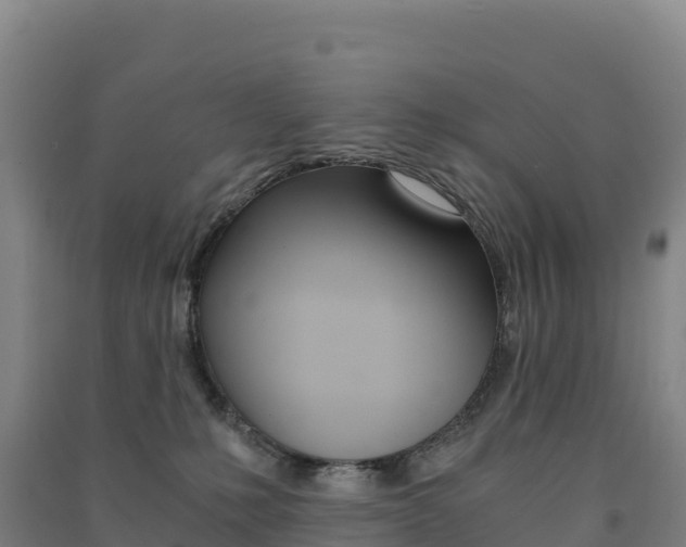 X0000091480231200708161155