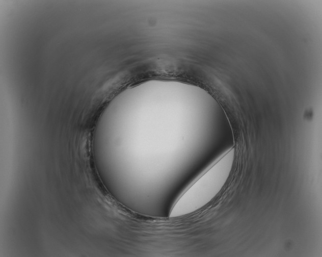 X0000091480233200708161155