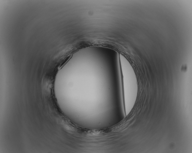 X0000091480235200708161155